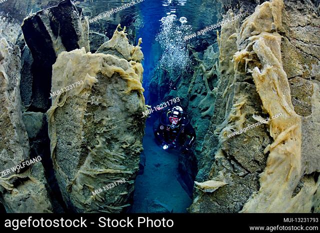 Nesgja, crystal clear freshwater fissure in Nesgja and divers, small tectonic continental fissure between America and Eurasia, Akureyri, northern Iceland