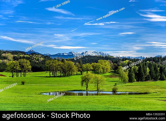 Germany, Bavaria, Upper Bavaria, Pfaffenwinkel, Obersöchering, spring landscape near Habaching against Estergebirge