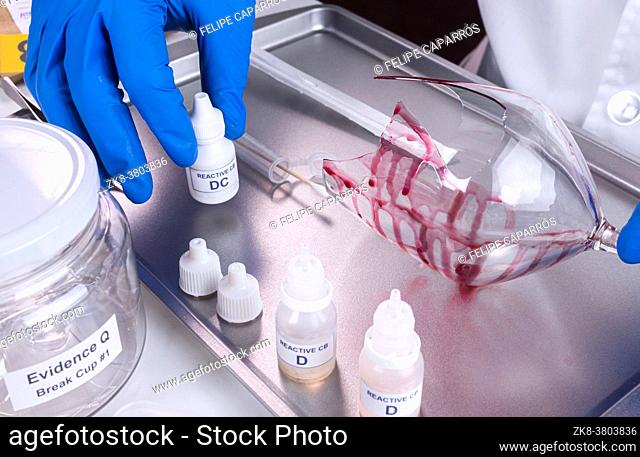 Police expert gets blood sample from a broken glass bottle in Criminalistic Lab, conceptual image