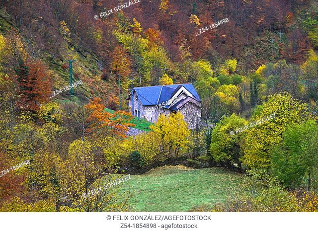 Autumn Forest at Felechosa, Aller, Puerto de San Isidro, Asturias Spain