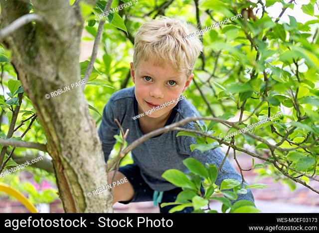 Cute blond boy climbing tree branch