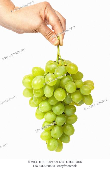 Hand holding a bunch of grapes isolated on white background