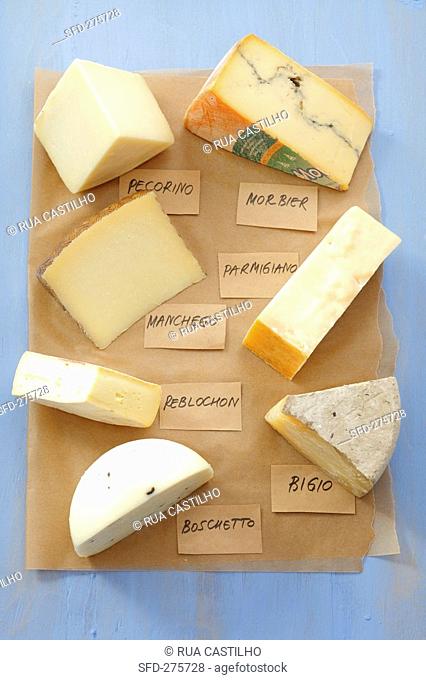 Pieces of different cheeses on paper