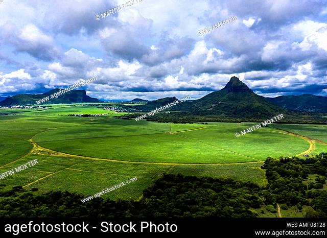 Mauritius, Black River, Flic-en-Flac, Helicopter view of vast sugar fields in summer with Trois Mamelles range in background