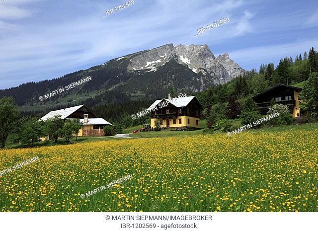 Schattau on Gschuett Pass, Berg Gamsfeld, Salzburger Land, Land Salzburg state, Austria, Europe