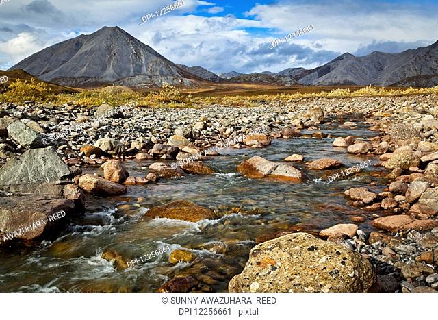 Scenic view of a creek in the Gates of the Arctic National Park and Preserve, Arctic Alaska, Autumn