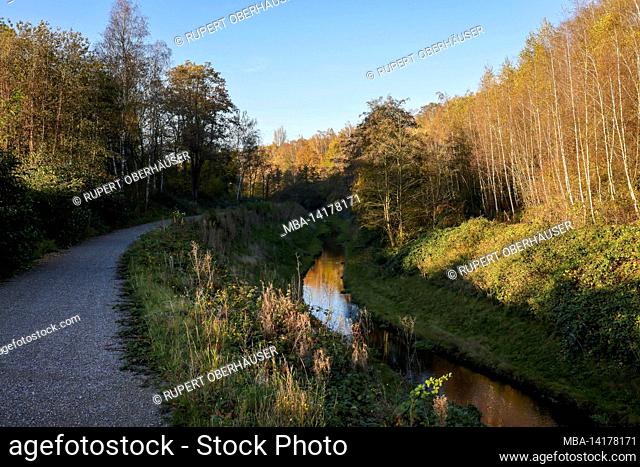 Bottrop, North Rhine-Westphalia, Germany, renatured Boye in autumn, the tributary of the Emscher, was transformed into a near-natural water