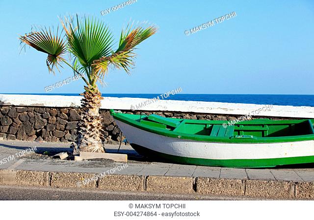 Boat and palm on the coast