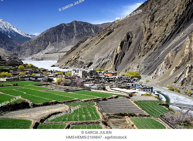 Nepal, Gandaki zone, Upper Mustang (near the border with Tibet), village of Kagbeni (2800m) surrounded by fields in the valley of the Kali Gandaki river