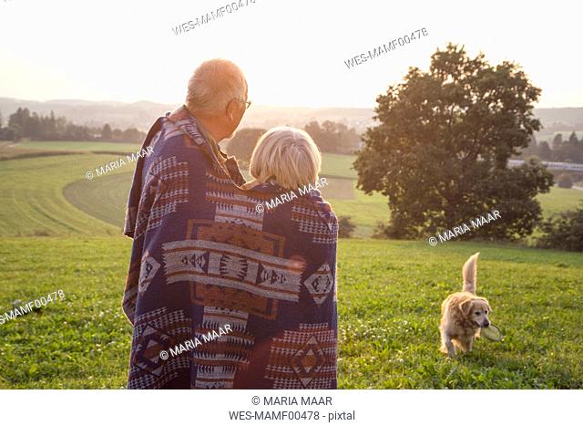 Back view of senior couple standing on a meadow at sunset watching their dog