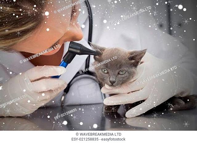 Composite image of vet examining ear of kitten