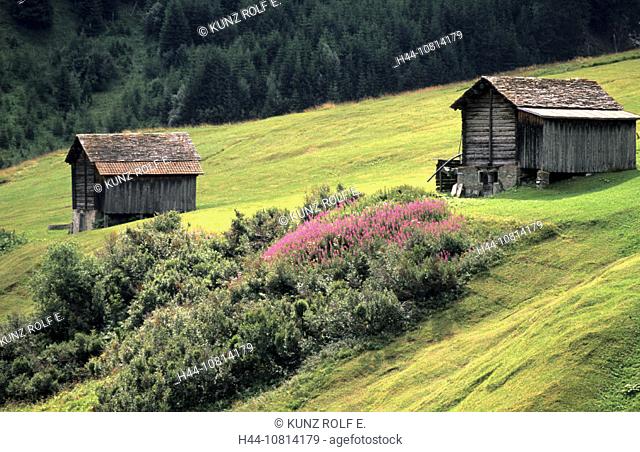 Alps, Grisons, Graubunden, Switzerland, Europe, hay stack, stable, barn, agriculture, Alp, pasture rose, red, Schons