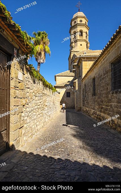 Cobbled streets & Catedral de la Natividad de Nuestra Señora. Renaissance style cathedral in Plaza Santa Maria. Baeza, Jaén province