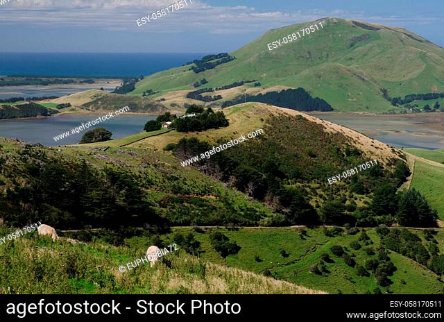 Landscape in Otago Peninsula. Otago. South Island. New Zealand