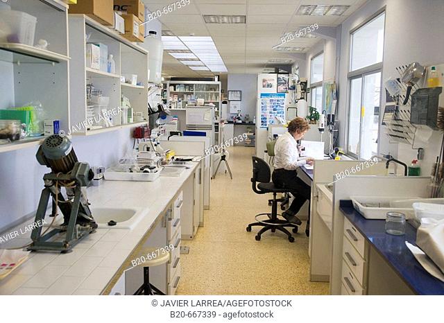 Entomology Laboratory, Neiker Tecnalia, Instituto de Investigación y Desarrollo Agrario, Ganadero, Forestal y del Medio Natural, Arkaute, Alava, Euskadi, Spain