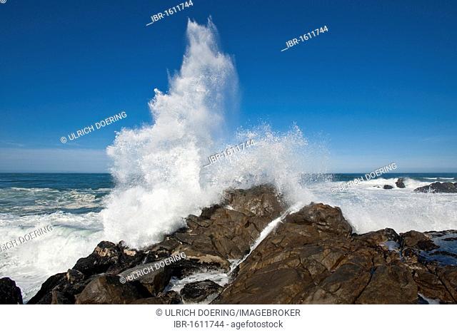 Waves crashing at Tsaarsbank at 16 Miles Beach, West Coast National Park, South Africa