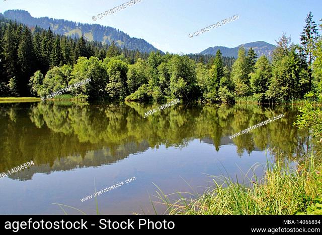 suttensee near rottach egern in the mangfall mountains, upper bavaria, bavaria, germany europe
