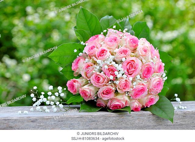 Bouquet made of pink roses and Gypsophila lying on a wooden plank. Switzerland