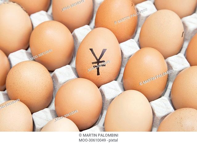 Yen currency sign on egg surrounded by plain brown eggs in carton