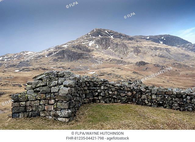Remains of isolated Roman fort in upland, Hardknott Roman Fort (Mediobodgdum), Hardknott Pass, Eskdale Valley, Lake District N.P