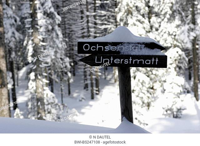 direction sign in winter landscape in the Black Forest, Germany, Baden-Wuerttemberg, Black Forest