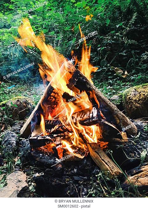 A natural wood campfire burning in campground