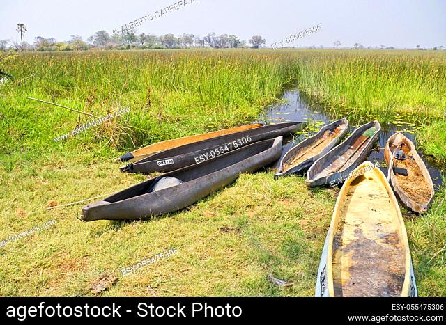Mokoro, Dugout canoes, Traditional boat, Okavango Delta, Botswana, Africa