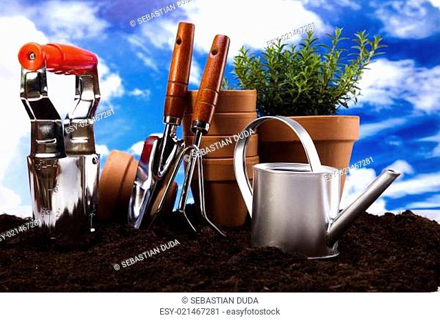 Gardening concept, work tools, plants