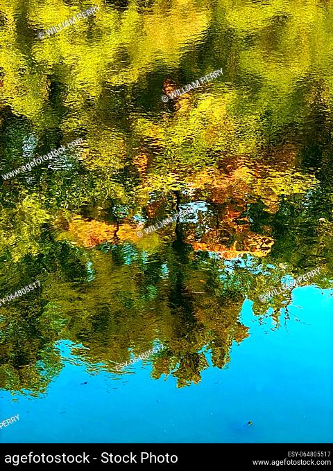 Colorful Green Yellow Blue Water Reflection Abstract Turtles Furuichi kofungun Water Surrounding Ancient Burial Mound Habikino Osaka Province Japan