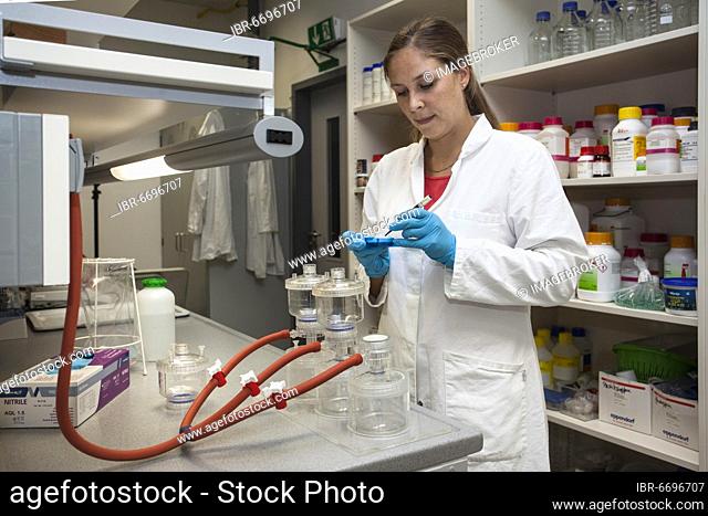 Scientist of biology at a laboratory filter unit in the genetic engineering section of the laboratories of the University of Duisburg-Essen