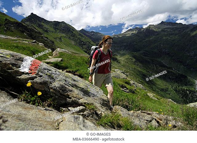 Hiking, Texelgruppe, Close Merano