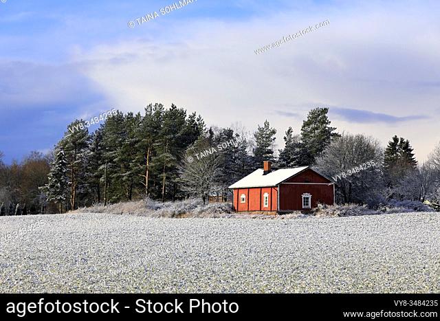 Small red country house by a lightly snow-covered field on a beautiful day of early winter, with some clouds on the sky. Salo, Finland. Nov 30, 2019