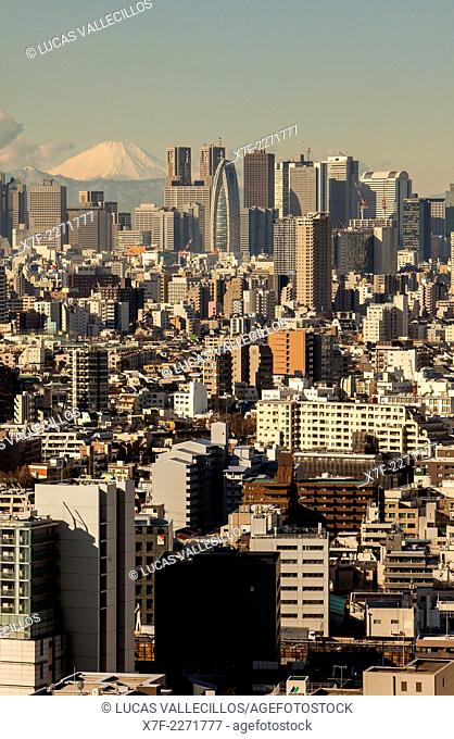 Skyscrapers of Shinjuku and Mount Fuji, Tokyo, Japan