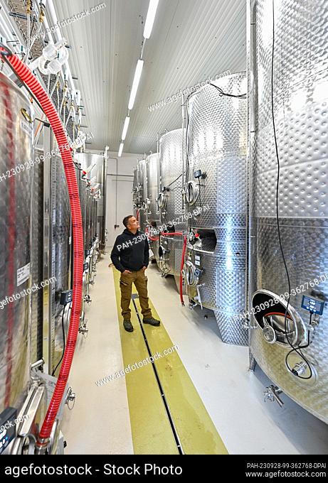 28 September 2023, Brandenburg, Pillgram: Matthias Jahnke, managing director of the Patke winery, stands in the newly built fermentation and storage hall