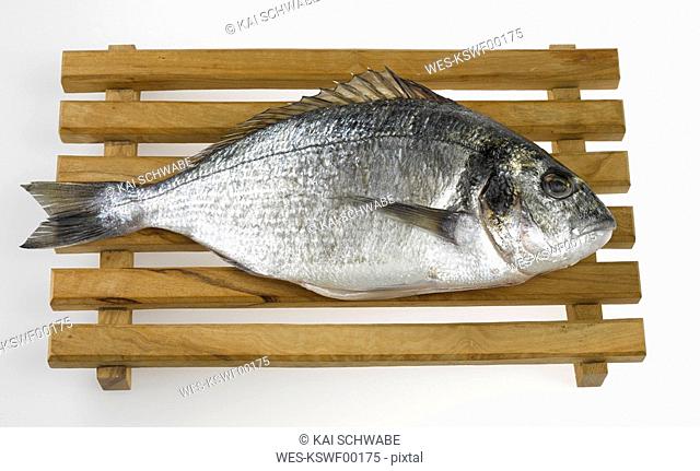 Gilthead seabream on wooden board, elevated view