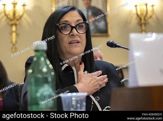 Joann Ariola, New York City Council Member (R-District 32), Ozone Park, New York, makes closing remarks as she concludes her testimony before the United States...