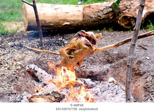 Chicken Roasting on Make Shift Stick Rotisserie Over Open Camp Fire in Wilderness Setting