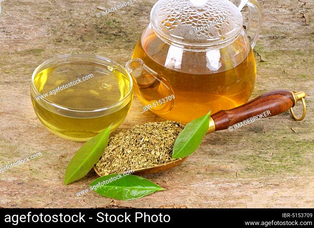 Cup and teapot with mate tea (Ilex paraguariensis), mate