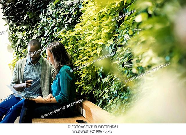 Businessman and woman sitting in front of green plant wall, using laptop