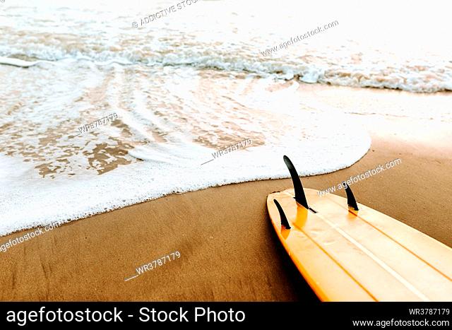 beach, surfboard