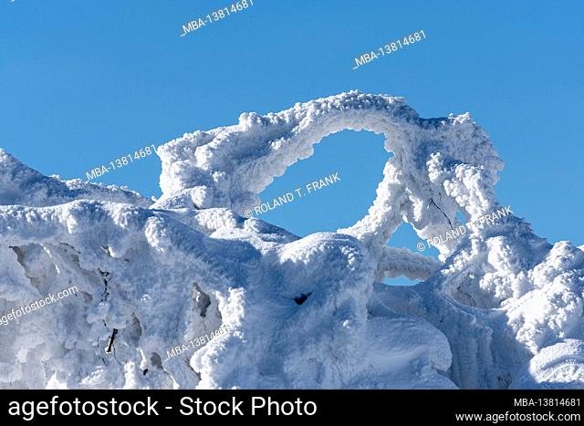 Germany, Baden-Wuerttemberg, Black Forest, snow-covered branches on the Hornisgrinde