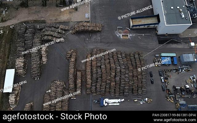 PRODUCTION - 13 July 2023, Leuna: Logs lie in an open area at the Leuna Chemical Park. Instead of petroleum, the Finnish company UPM wants to produce chemical...