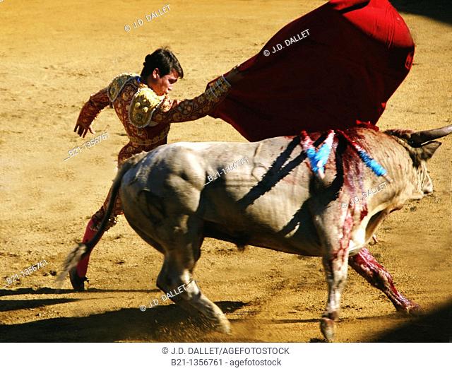 'Pase de pecho', bullfighting, Parentis en Born, Landes, Aquitaine, France