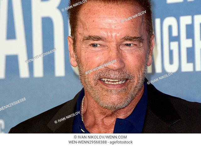 Format 11x15 cm #1 Arnold Schwarzenegger Foto Schade Collateral 