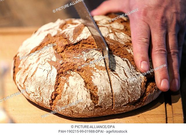 08 February 2019, Saxony, Leipzig: A man in a Leipzig bakery cuts a mixed rye bread with a bread knife. Photo: Jan Woitas/dpa-Zentralbild/ZB