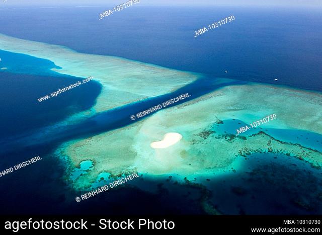 Diving Spot Fotteyo Channel, Felidhu Atoll, Indian Ocean, Maldives