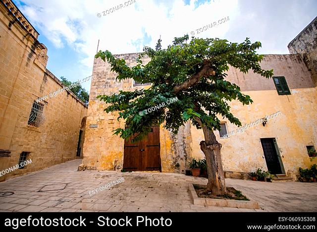 Details Ancient Streets Alleys Mdina Old Architecture Travel Location Limestone