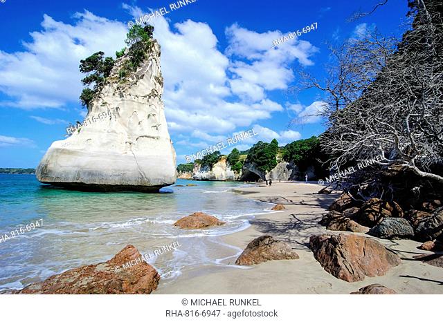 Giant rock on the sandy beach of Cathedral Cove, Coromandel, North Island, New Zealand, Pacific