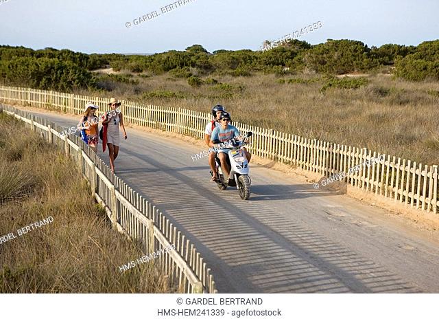 Spain, Balearic Islands, south of Ibiza island, Formentera island, bicycle on the road for Ses Illetes