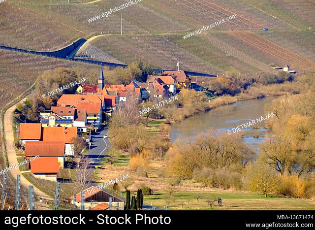 Landscape and vineyards on the Volkacher Mainschleife near Koehler, town of Volkach, district of Kitzingen, Unterfanken, Bavaria, Germany